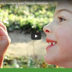 Kasdienis žygis Žaliojoje mokykloje