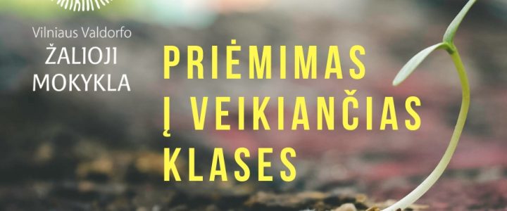 Papildomas priėmimas į veikiančias klases
