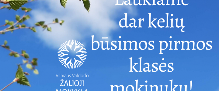 Laukiame dar kelių būsimų pirmokų! Laukiame dar kelių būsimų pirmokų!