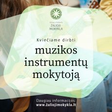 Kviečiame dirbti muzikos instrumentų mokytoją